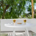 Echinousa Maisonette No4