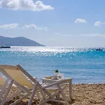Echinousa Maisonette No4 *