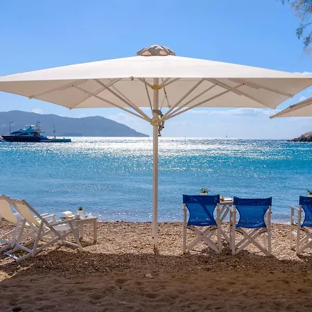 Echinousa Maisonette No4