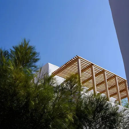 Echinousa Maisonette No4