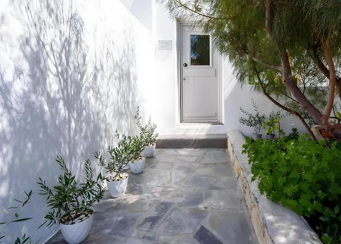 Echinousa Maisonette No4