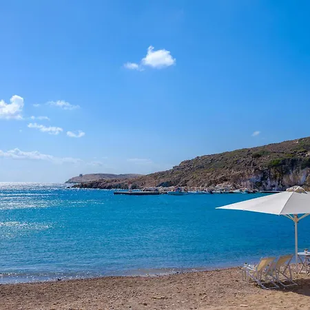 Echinousa Maisonette No4 *